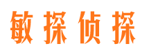 翠屏敏探私家侦探公司